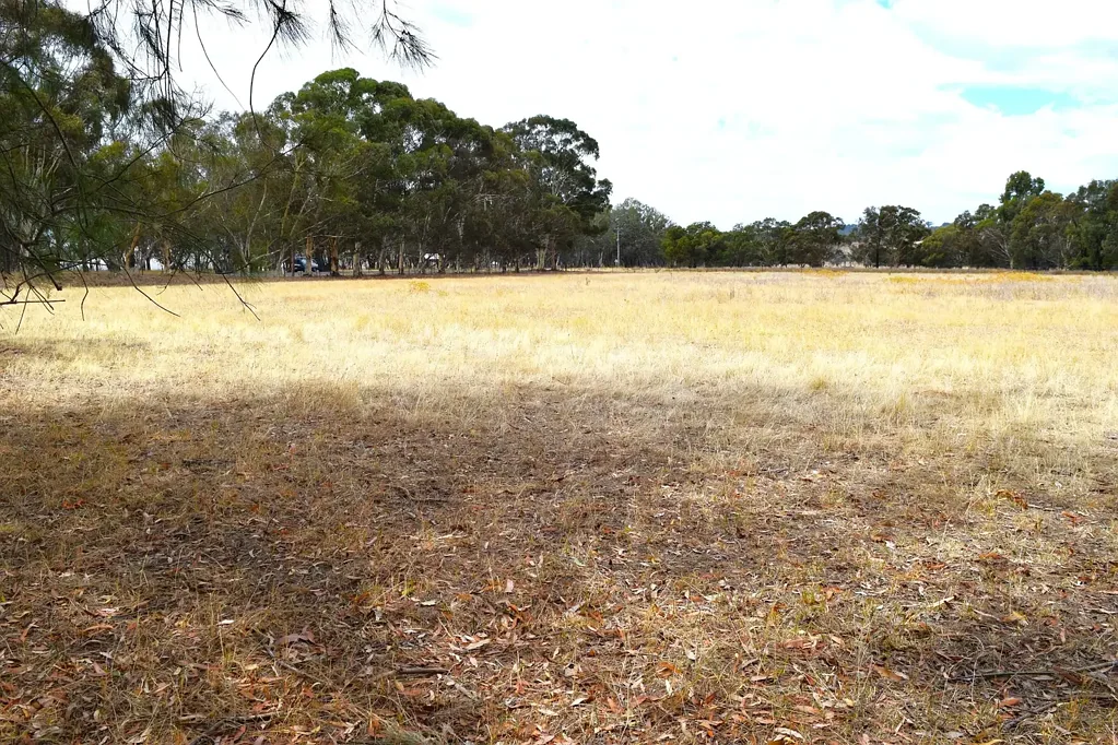 Jindera WELL LOCATED LIFESTYLE PROPERTY       -                    8.77*Acres/3.55*Ha