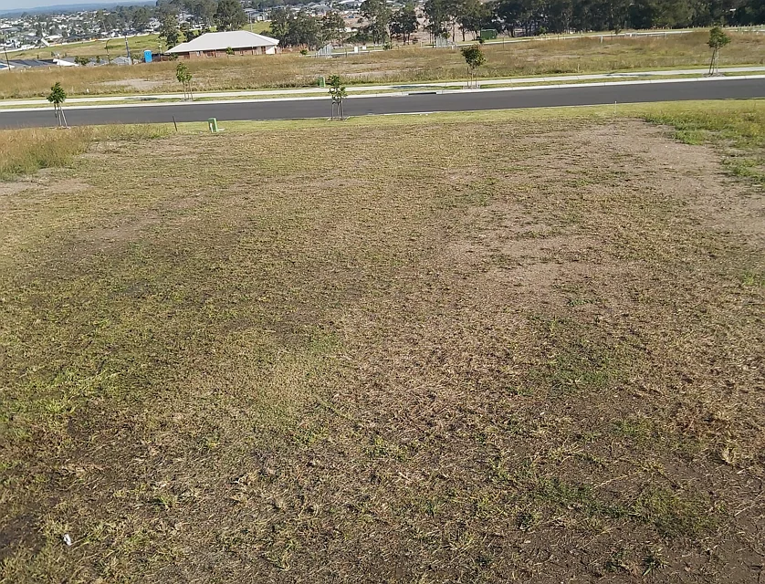 66 (Lot 109) Wicklow Rd, Chisholm, NSW 2322, 0 ਕਮਰੇ, 0 ਬਾਥਰੂਮ, Section