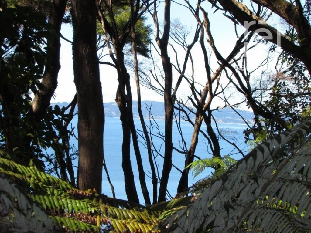 Tuateawa  Dawn Corner