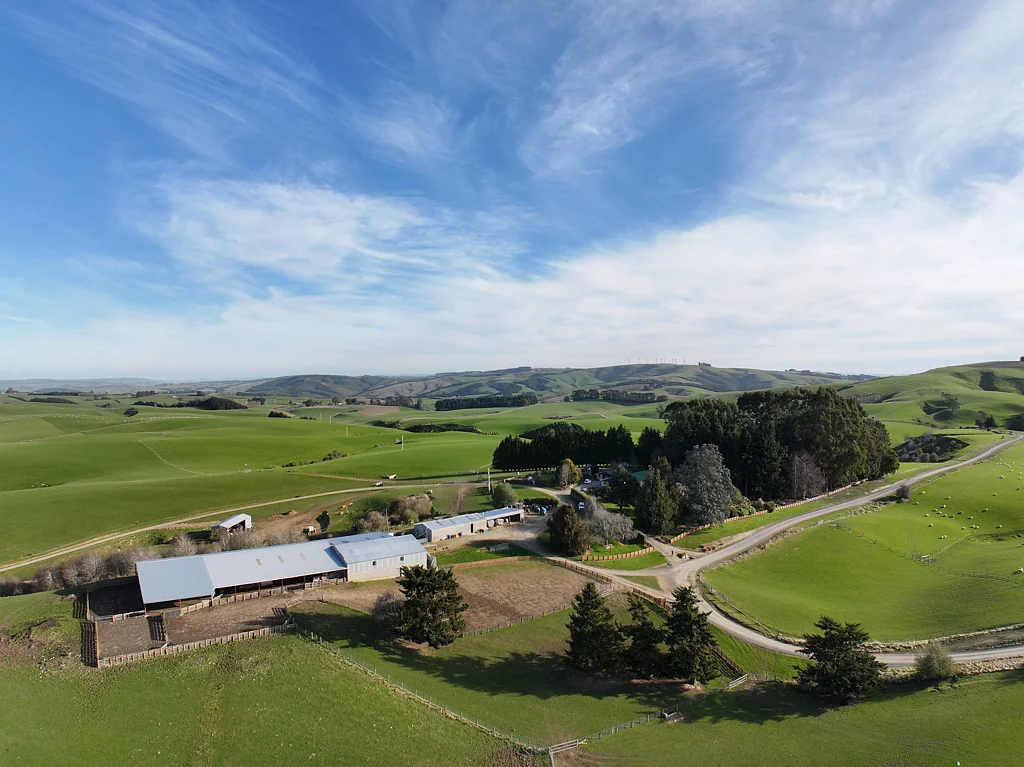 Waitahuna  Waitahuna East Sheep and Beef Unit
