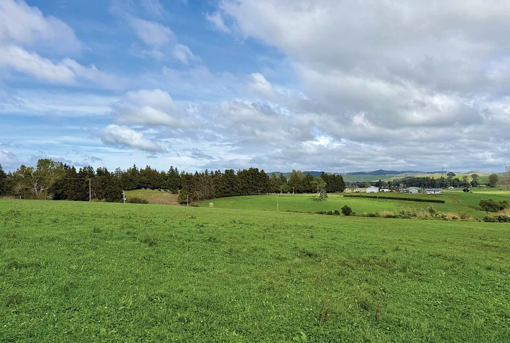 Waerenga LUSH FERTILE LAND - 1.42HA