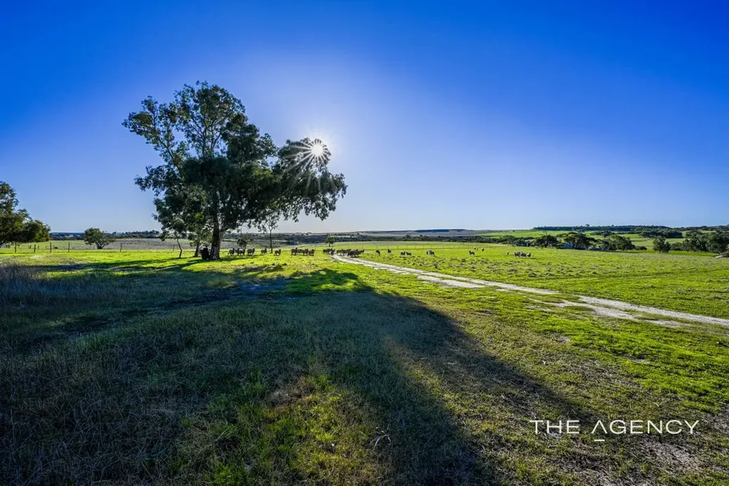 Bringo NOW SELLING - ONCE IN A LIFETIME LIFESTYLE OPPORTUNITY
