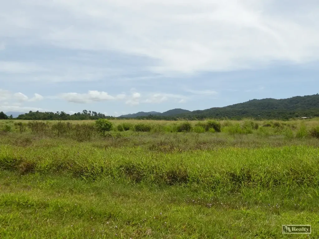 Eaton  BANANA LAND FOR LEASE