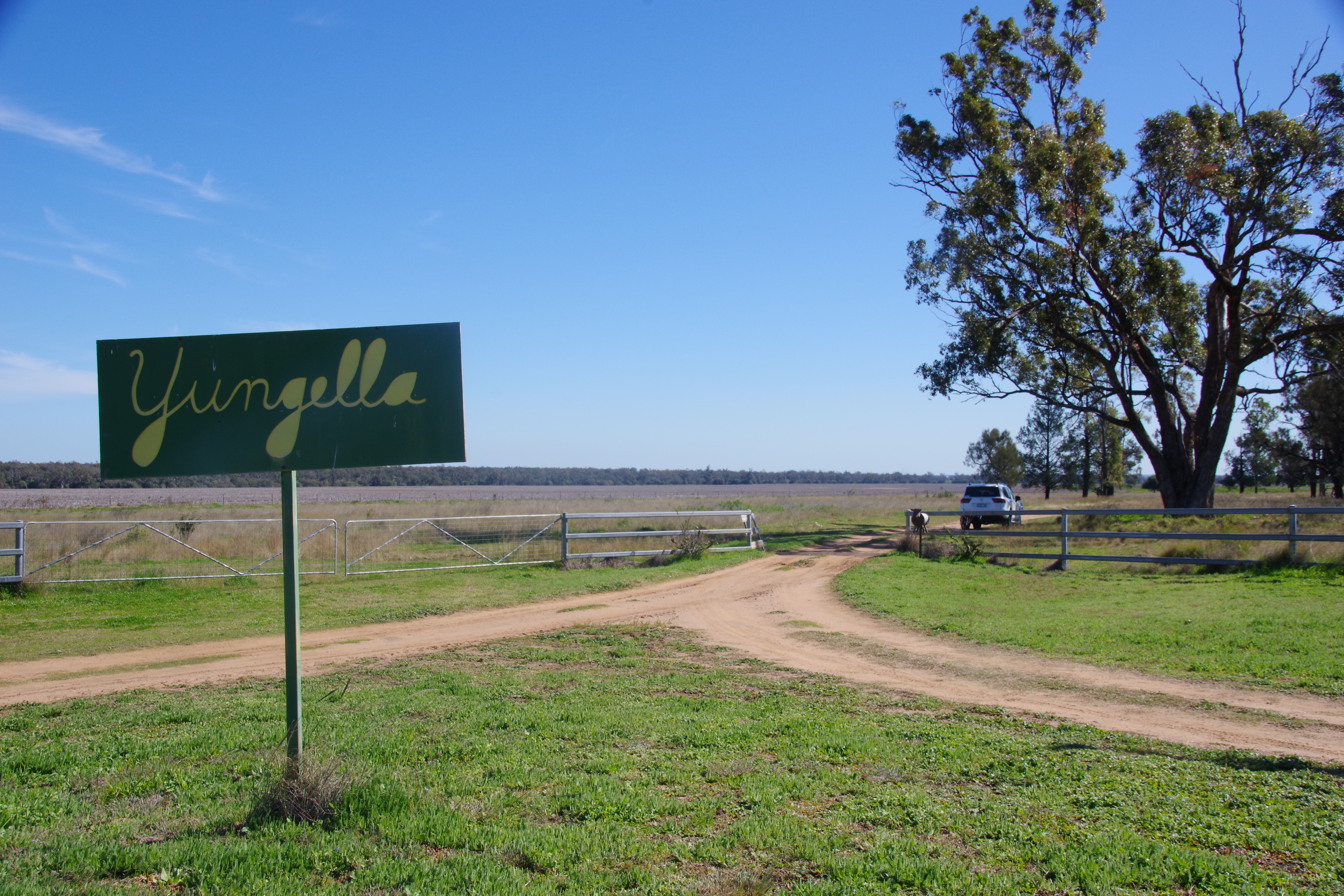 MYALL VALLEY 637 MELLBURRA RD, NARRABRI NSW 2390, 0 Schlafzimmer, 0 Badezimmer, Lifestyle Property