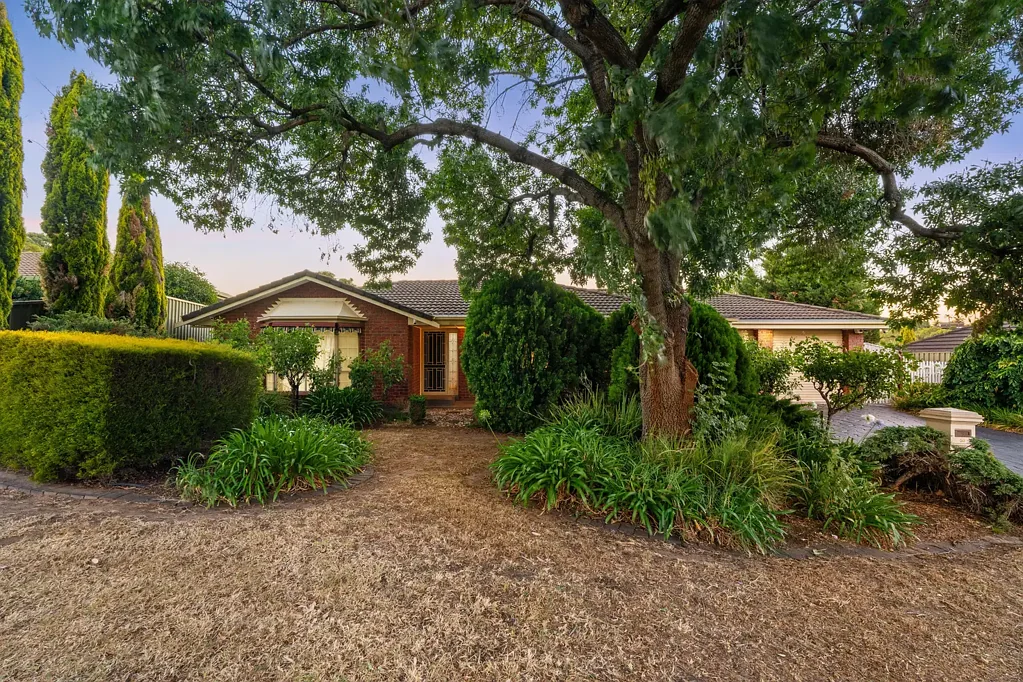 53 River Drive, Paradise, SA 5075