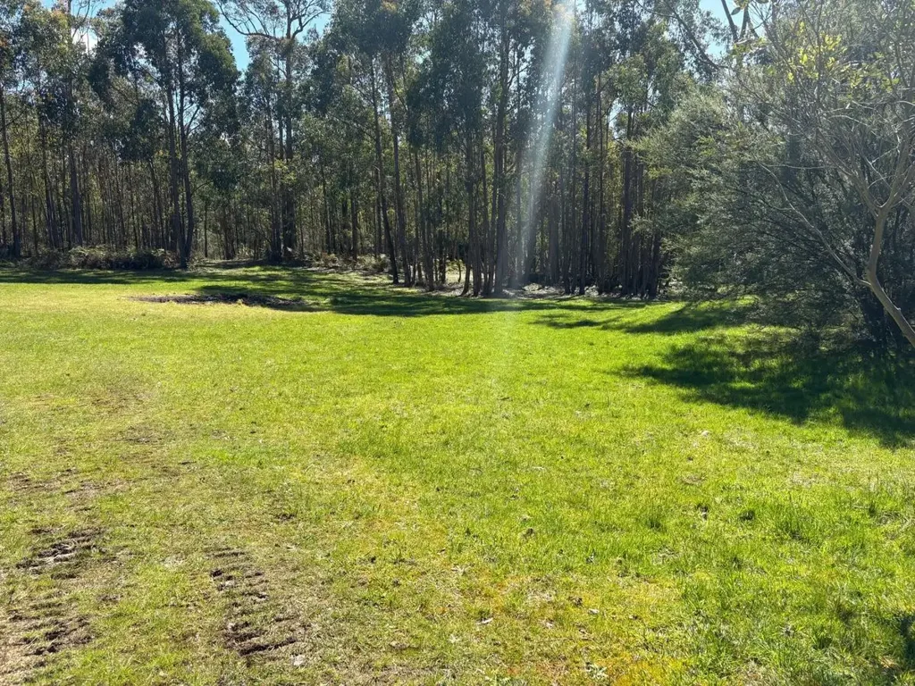 Boolarra Your Country Escape Awaits