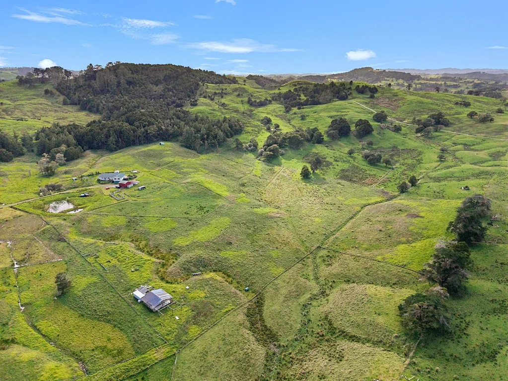 Paparoa Private setting with power connected
