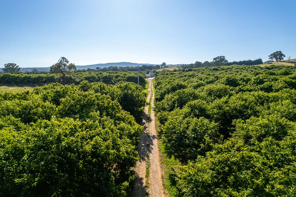 19 Zig Zag Road, Beechworth, VIC 3747