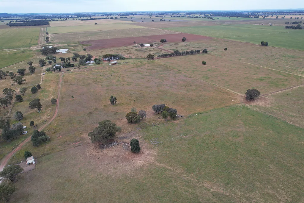 Forbes "Sunny Vale", 120 Pouts Rd, offers a great opportunity to secure your own 120 acre lifestyle property under 20km's from Forbes.
