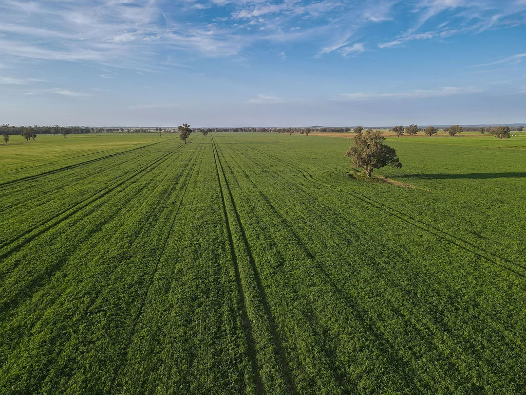 Forbes Close to Forbes with Subdivision Potential