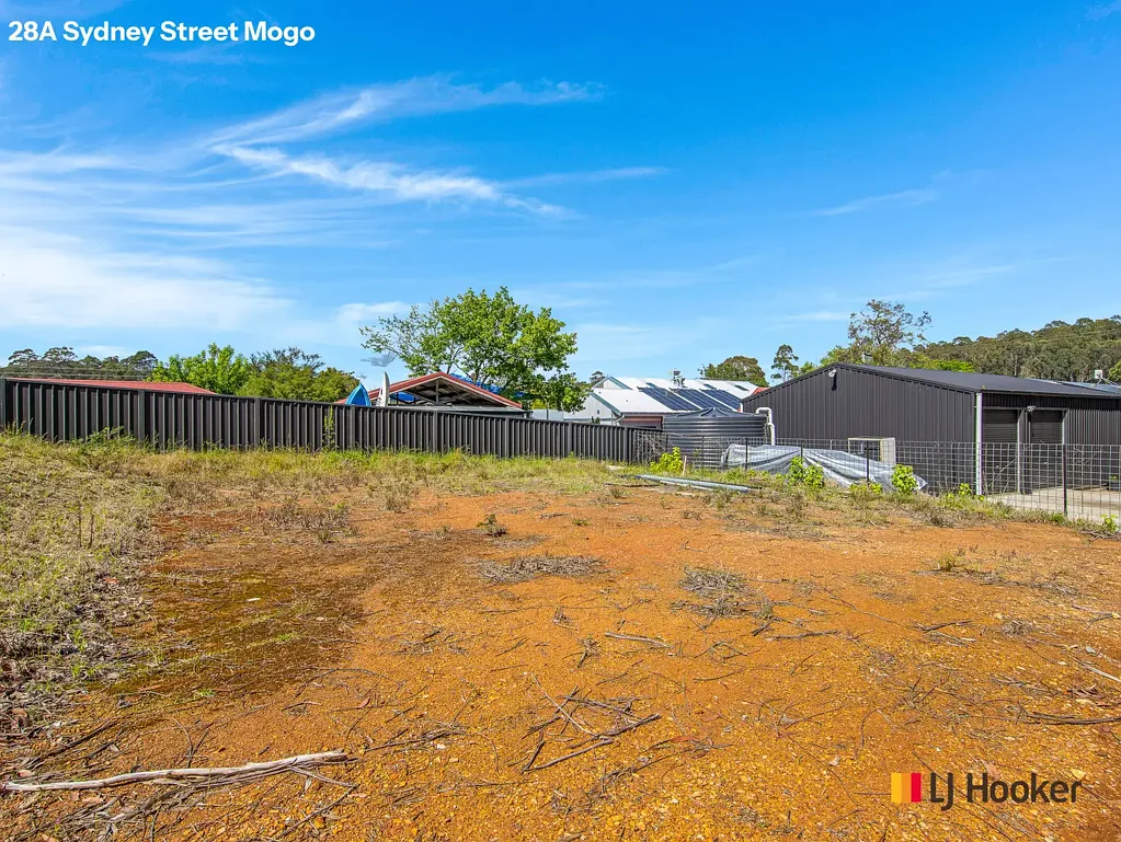 Mogo Opportunity hasn't knocked, It�s just kicked in the door!
