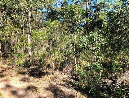 Lot 2745 Gunnedah Street, North Arm Cove, Hunter, 0 phòng ngủ, 0 phòng tắm, Section