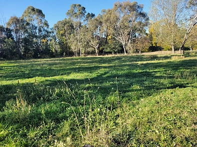 5 Rowe Street, Mansfield, VIC 3722, 0房, 0浴, Section