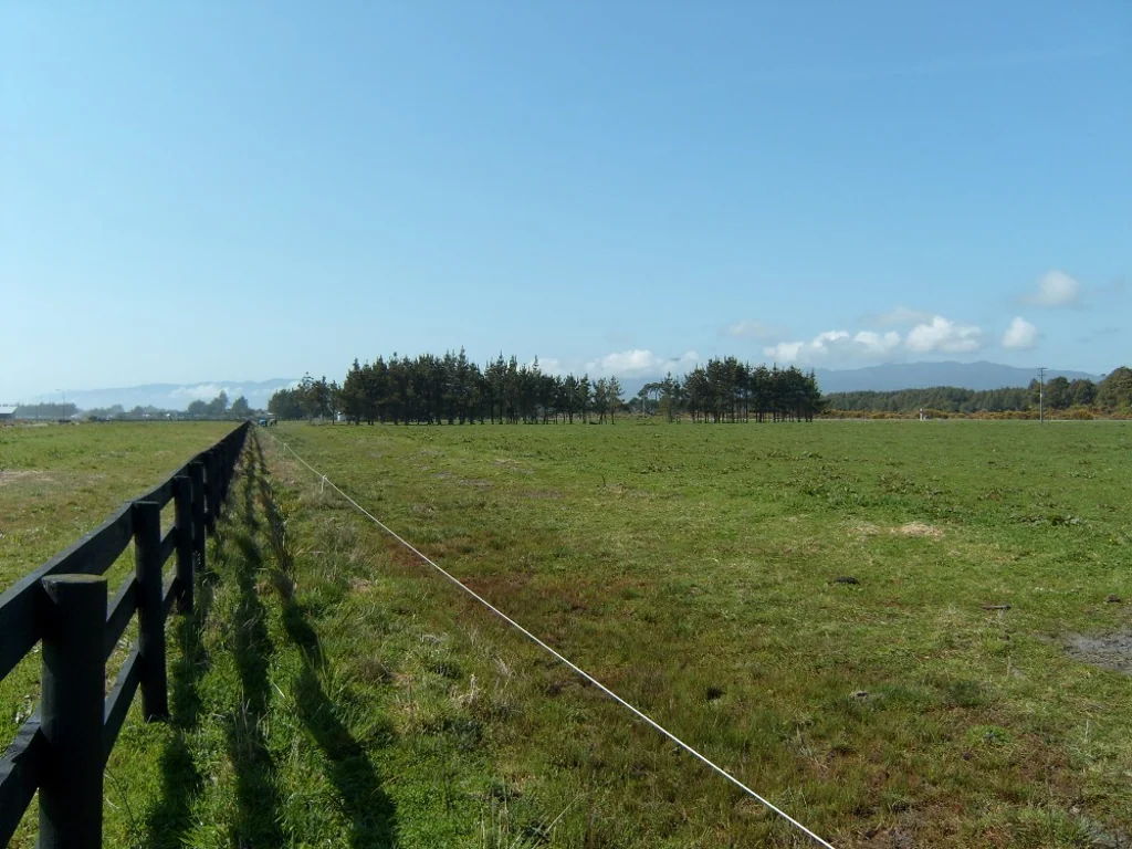 Carters Beach The best land at the best price