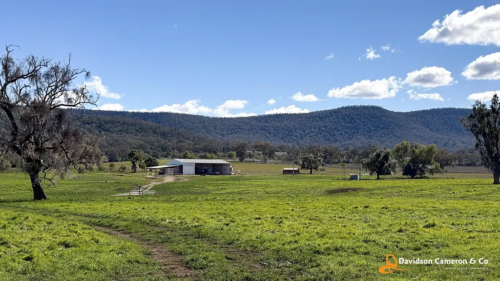 Maules Creek  "Spring Flats" - Productive Grazing & Fodder Opportunity