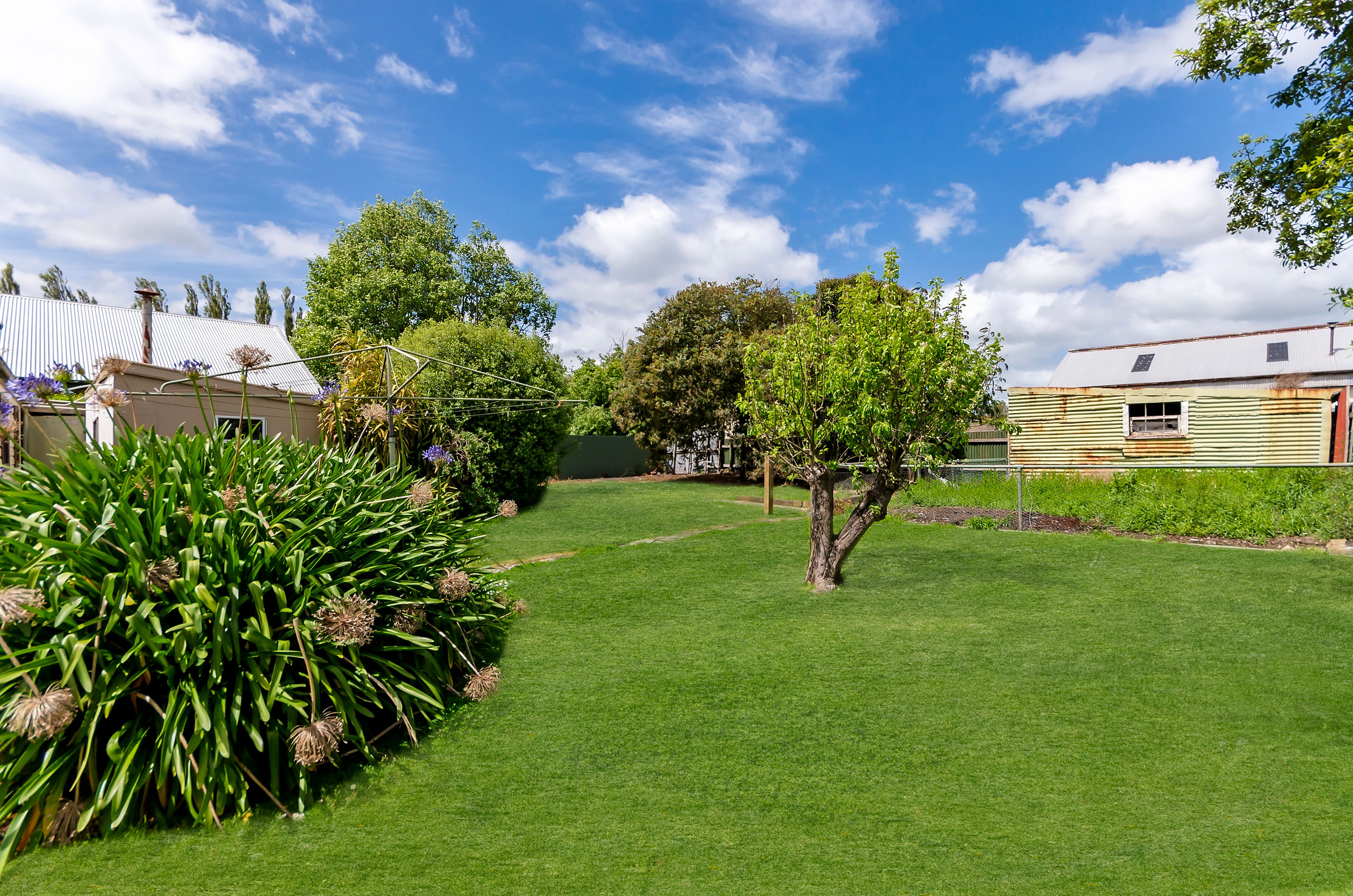 37 SWANSTON ST, TERANG VIC 3264, 0房, 0浴, House