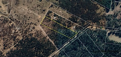 Sugarloaf SUGARLOAF - 5 ACRE EX-FORESTRY BLOCK WITH REMAINS OF BEAUTIFUL OLD PINE FOREST