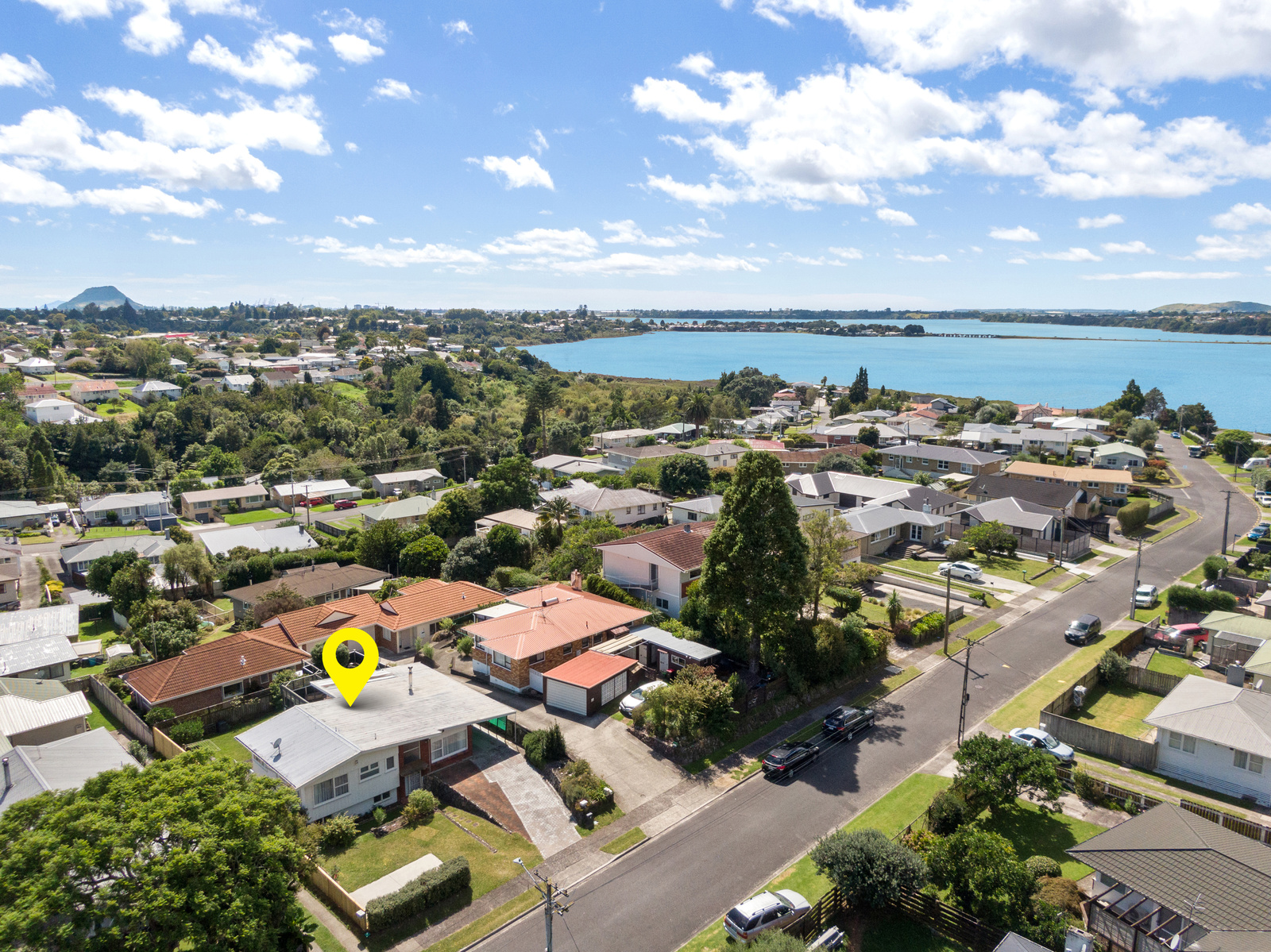 43 Harrier Street, Parkvale, Tauranga, 3 ห้องนอน, 0 ห้องน้ำ, House