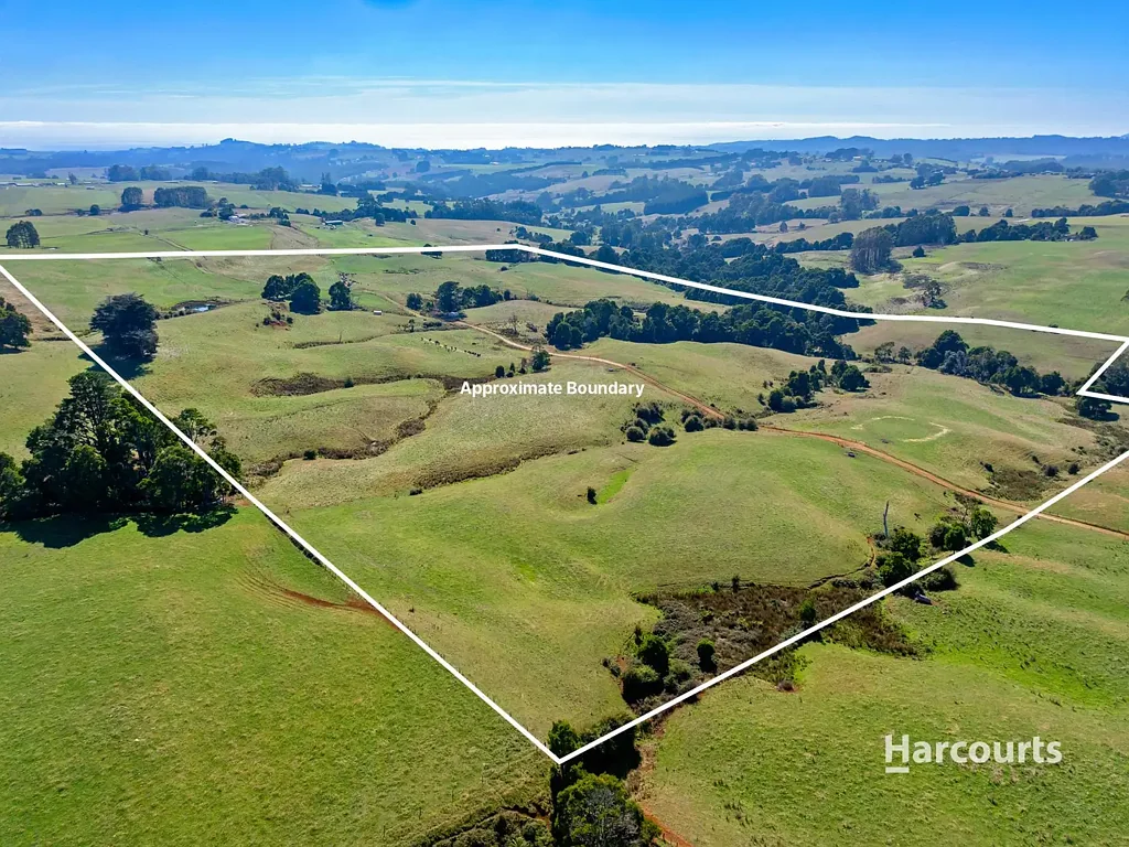Mount Hicks 80 Acres - An Ideal Start in Agriculture, Close to Wynyard