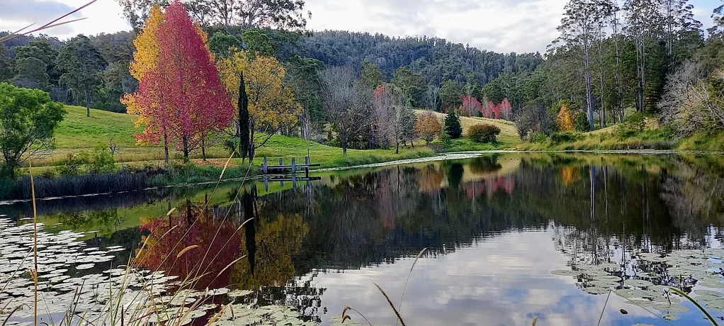 Bellangry Hayden’s Hill, Bellangry NSW- Spectacular 1009 Acre Private Retreat.