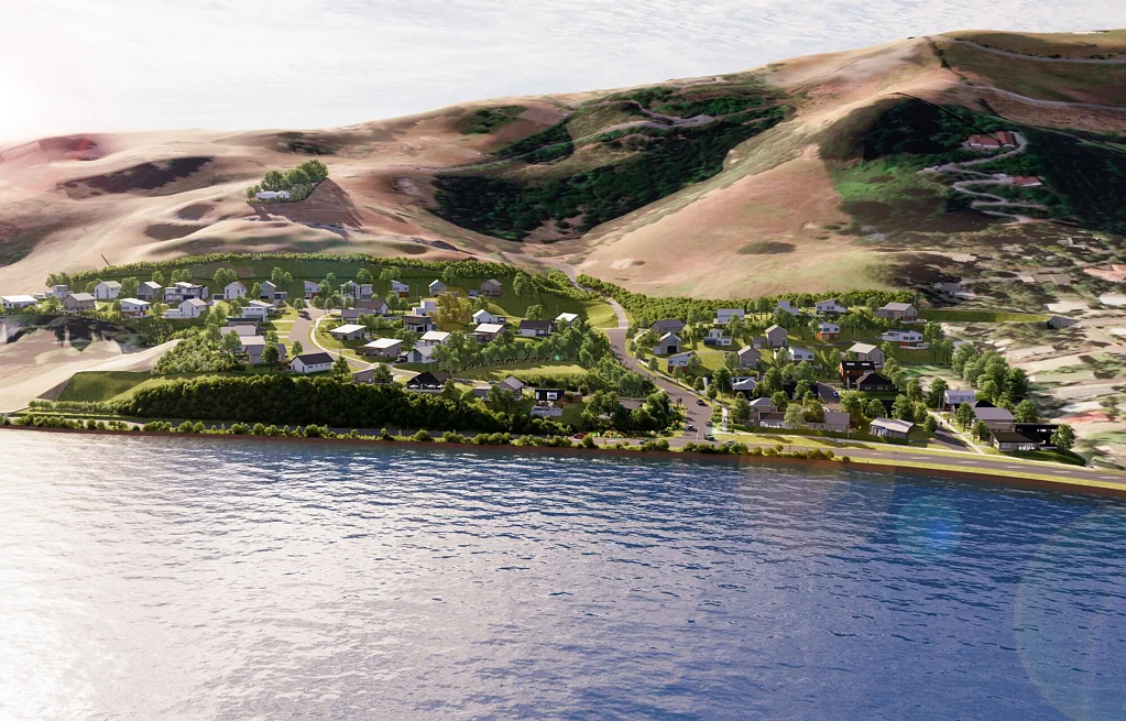 Wakapuaka Dream backyard with views