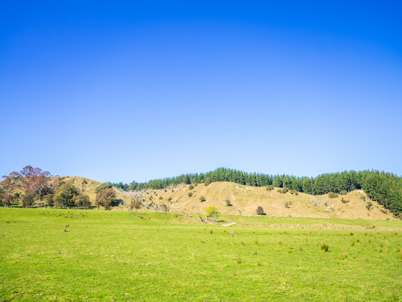 232 Kotare Road, Ruakituri, Wairoa, 3 rūma, 1 rūma horoi