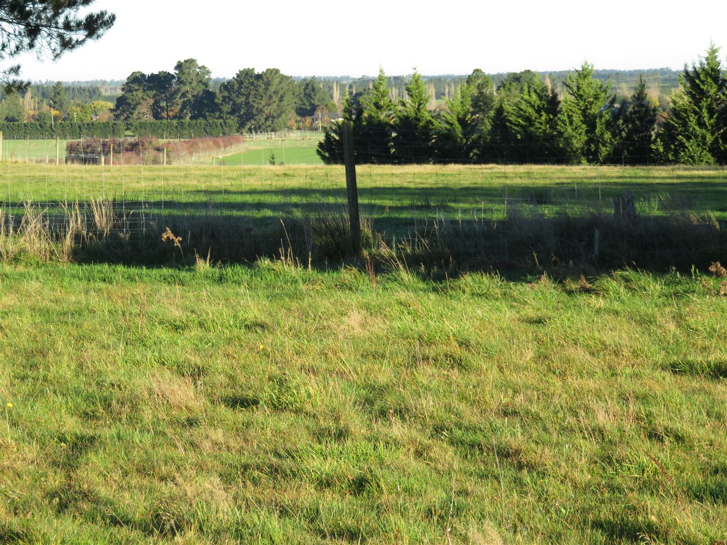 172 Bush Road, Oxford, Waimakariri, 0 Bedrooms, 0 Bathrooms