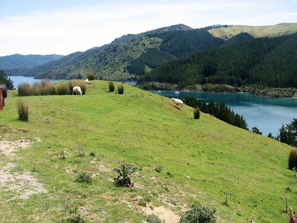 Marlborough Sounds Prime Coastal Section - Sun, Views & Easy Access