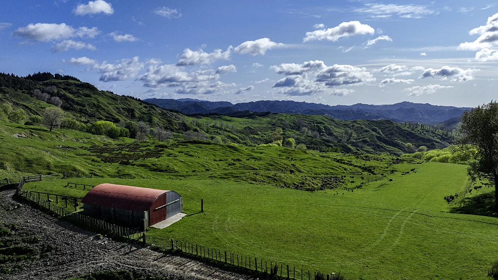 Tolaga Bay Beautifully balanced hill country opportunity
