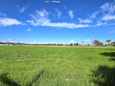 Dargaville Lifestyle Opportunity Just Minutes from Dargaville – Two Prime Sections Available!