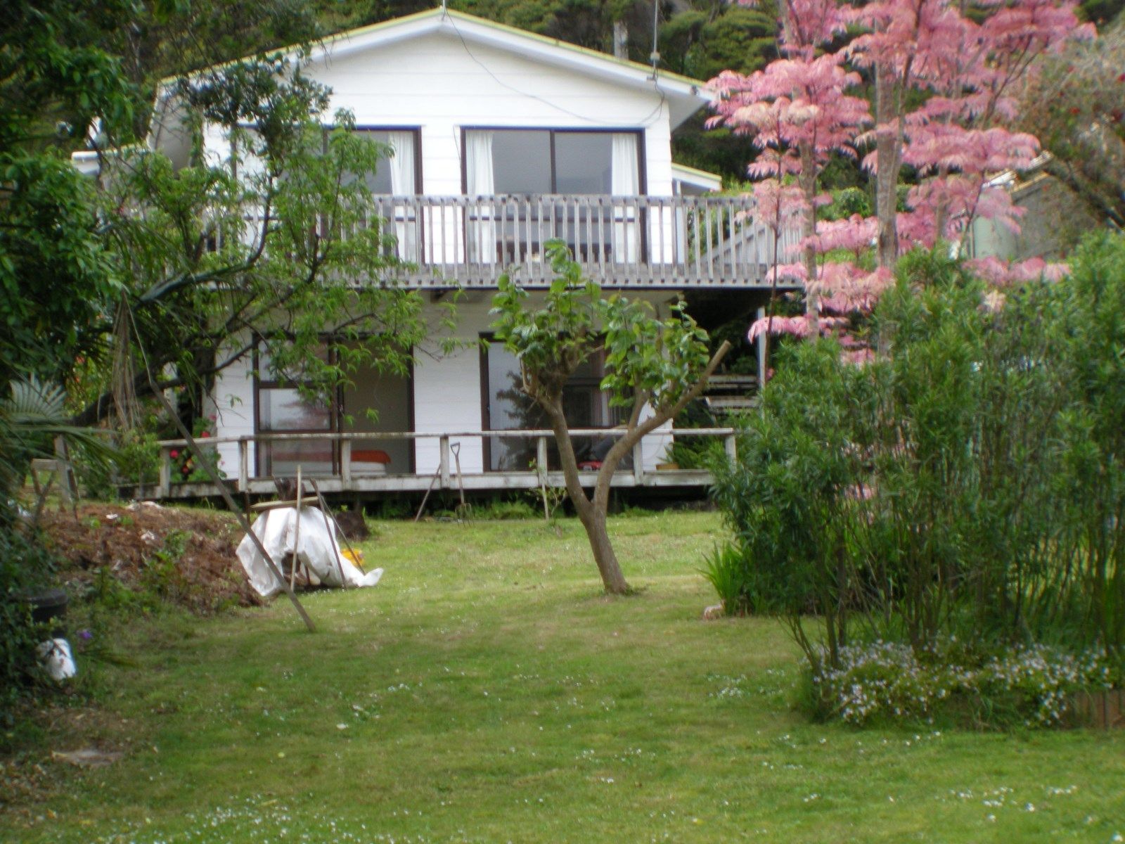 Hauraki Gulf Islands