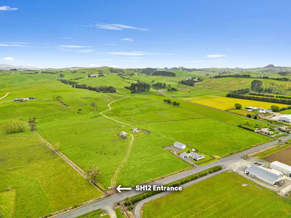 Dargaville  42 hectares with CV asking price!