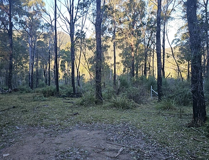 Lot Lot C/650 Yankees Gap Road, Bemboka, South Coast, 0 कमरे, 0 बाथरूम, Section