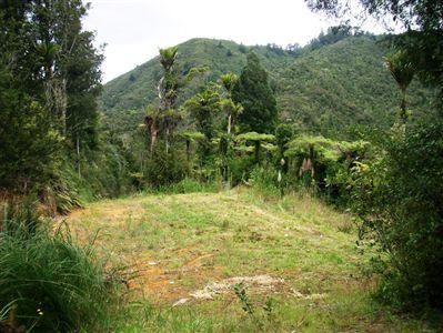 1621 The 309 Road, Kaimarama, Coromandel, 1 Schlafzimmer, 0 Badezimmer