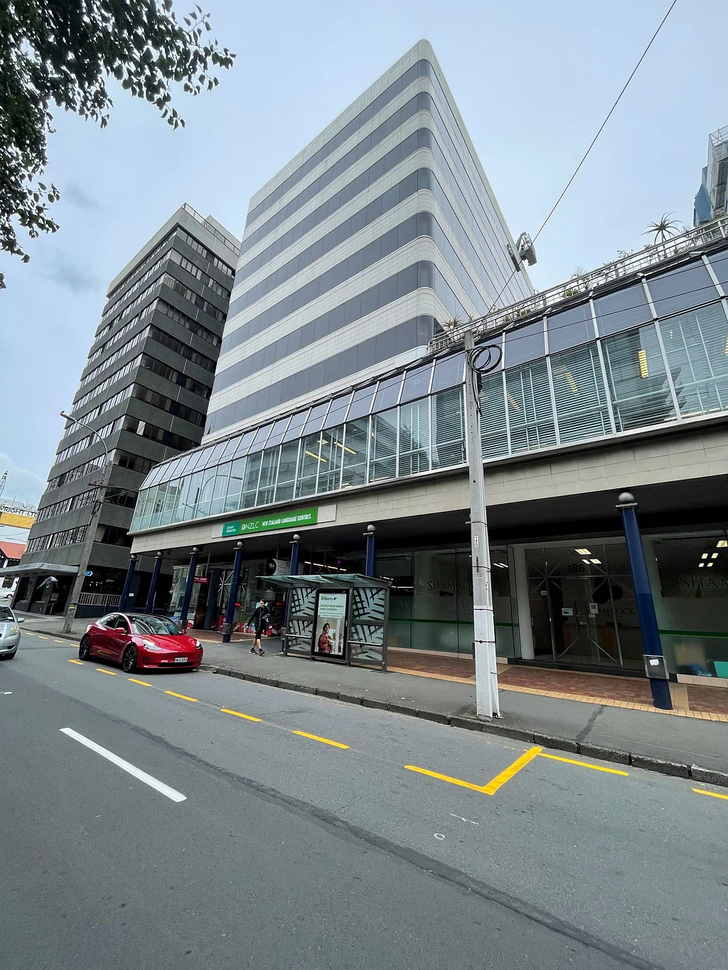 Te Aro Willis Street Office Space - 273sqm