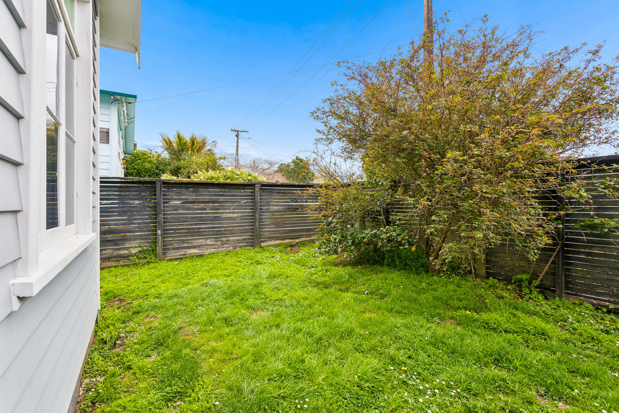 41 Mountain View Road, Morningside, photo 8
