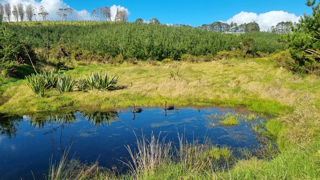 Kerikeri Kerikeri Land Bank/Development Opportunity