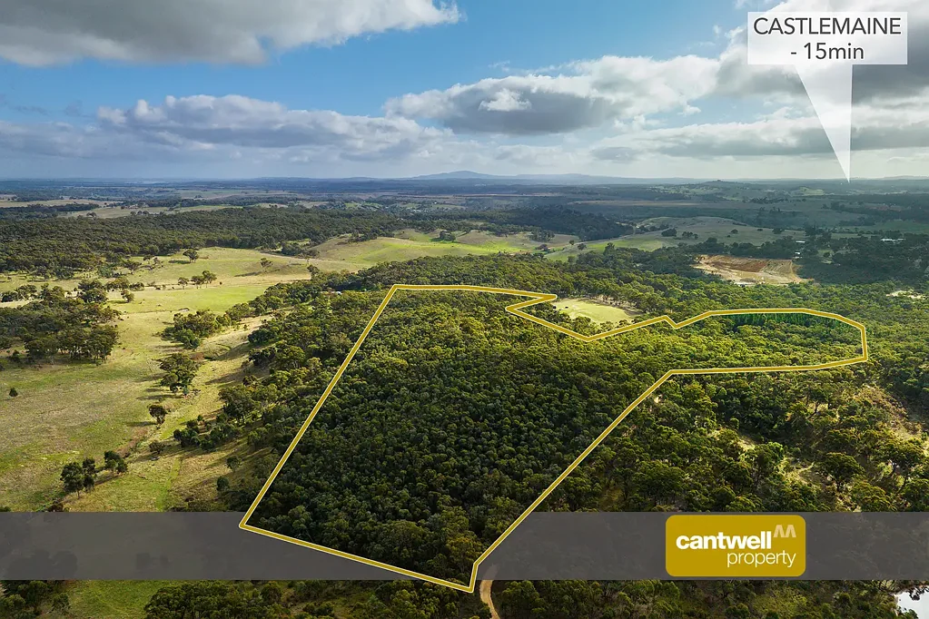 70 Galaxia Lane, Guildford, VIC 3451