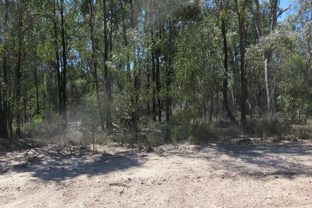 Tara 29.65 acres didn't last long on the market