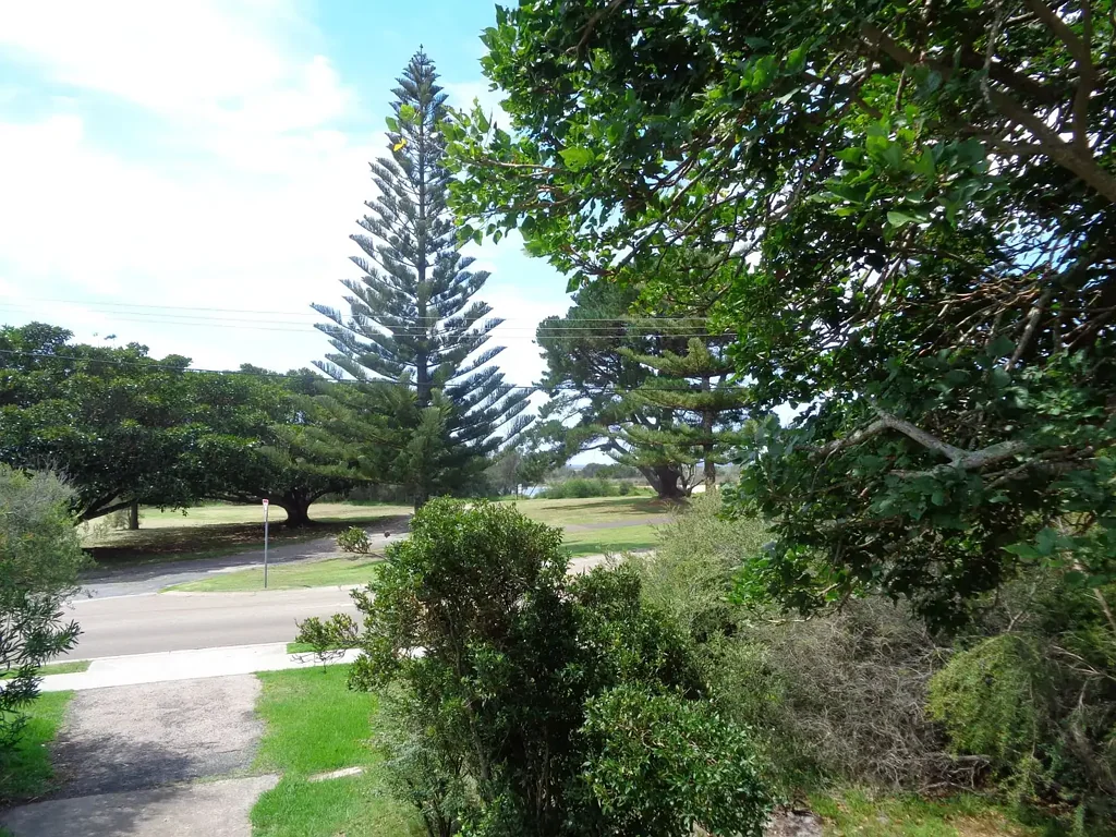 Coastal Lifestyle Living – Home Opposite Dalmeny Beach
