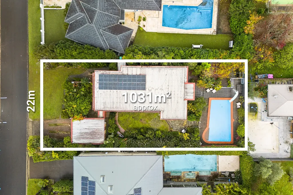 Oatlands 5房 Oatlands珍稀地块 1031平米宽22米 盐水泳池 多校环绕 步行生活圈 Impressive home on 1031sqm with 22m frontage