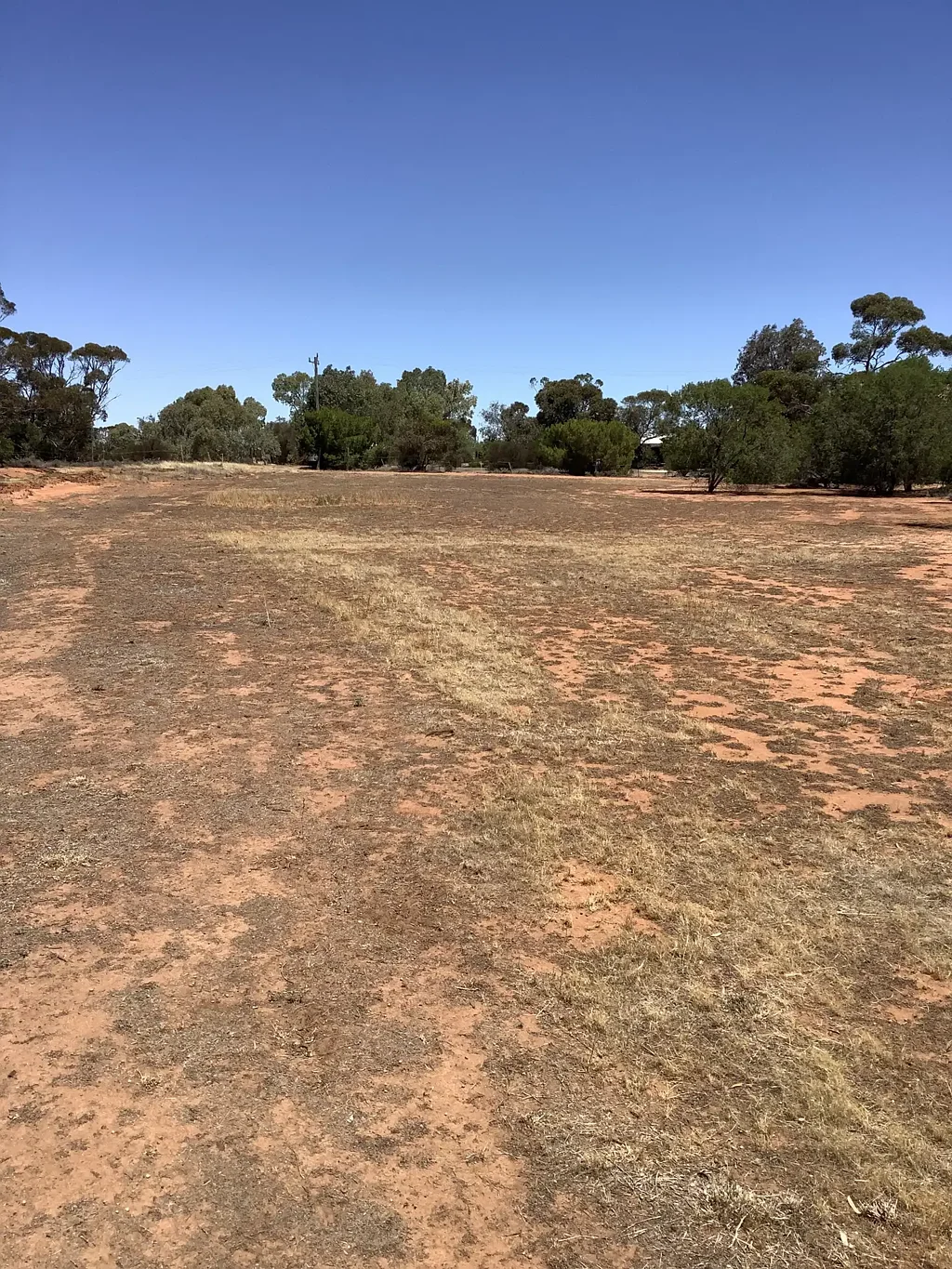 Berriwillock Vacant block available in Berriwillock township