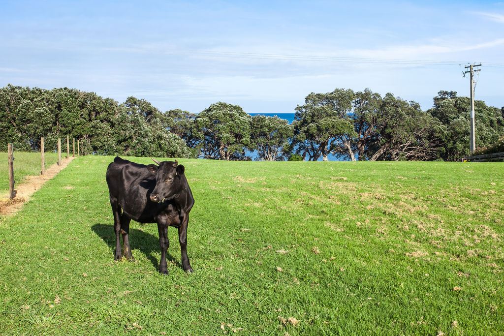 45a Parekura Hei Road, Te Kaha, Opotiki, 0部屋, 0バスルーム