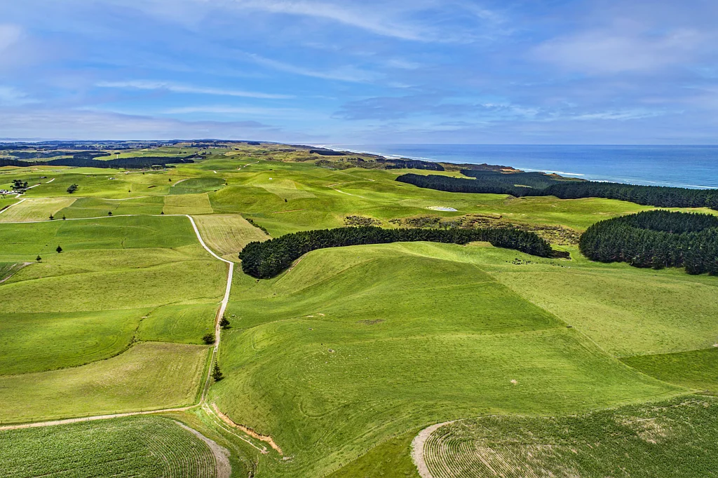 Te Kopuru Productivity Meets Lifestyle