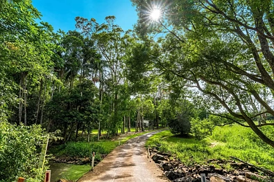 323 Alcorn Road, Knockrow, NSW 2479, 3 slaapkamers, 1 badkamers, Lifestyle Property