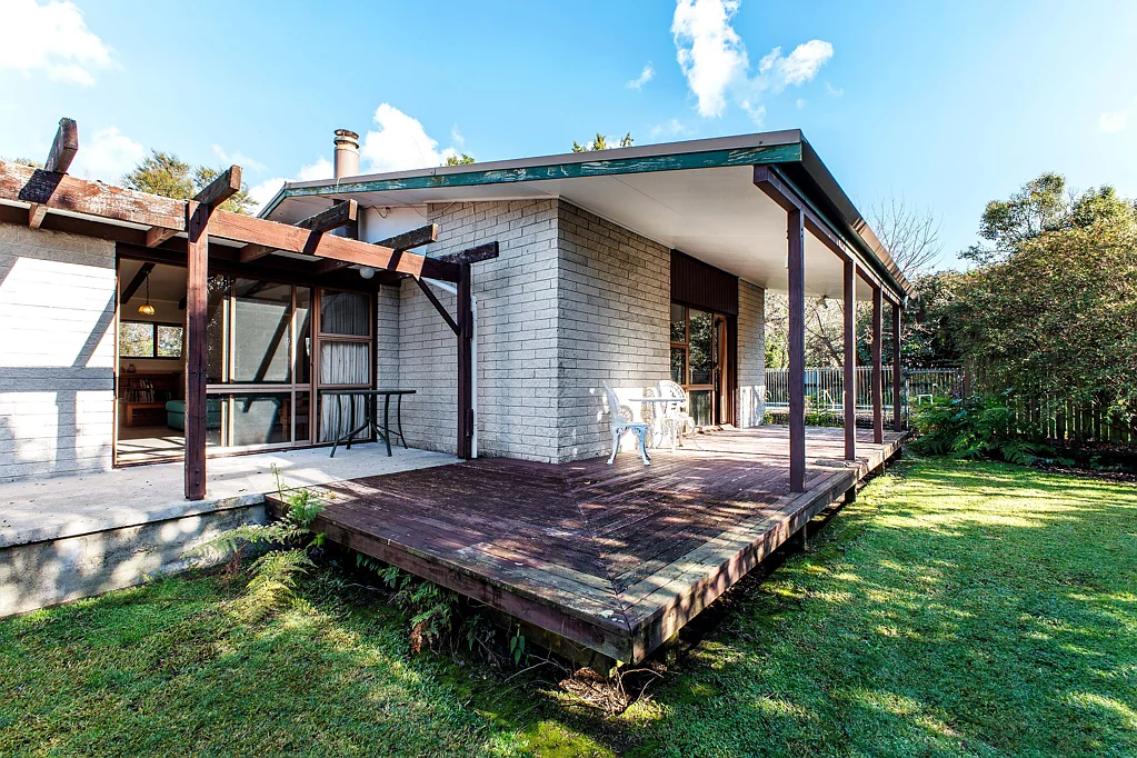 Edgecumbe Lifestyle Living - Kiwifruit Upside