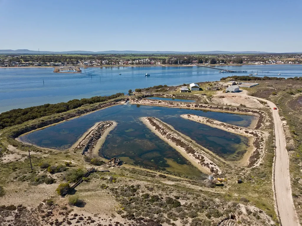 Ward Hill Looking for Absolute Waterfront?