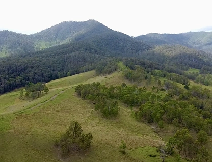 Lot 14, 15, 21 & Y Balls Road, Bellbrook, North Coast, 0 Schlafzimmer, 0 Badezimmer, Lifestyle Property
