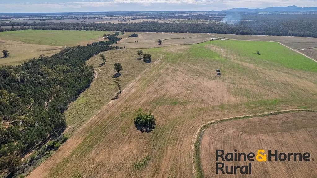 Gilgandra  "Fair Oaks"