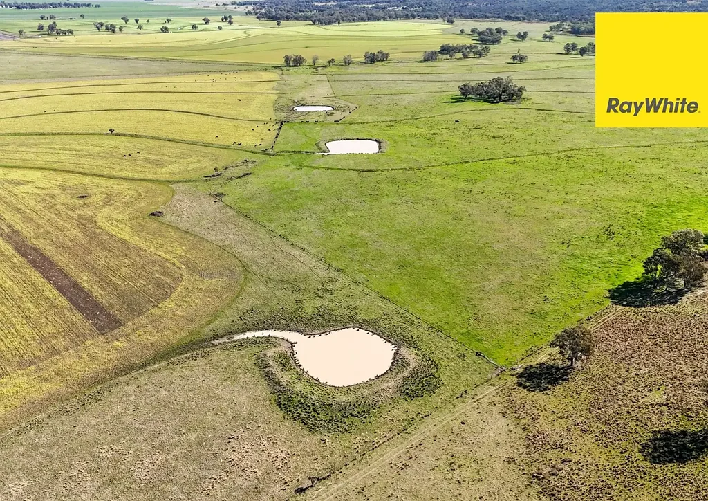 Inverell 'Highly regarded Oakwood and Bannockburn Plains Area'